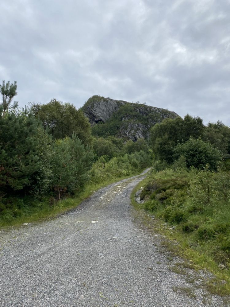 Bildet viser grusvegen som leder ned til posten sett ifrå der posten er. På bildet ser vi også fjellet Kverveaksla.
