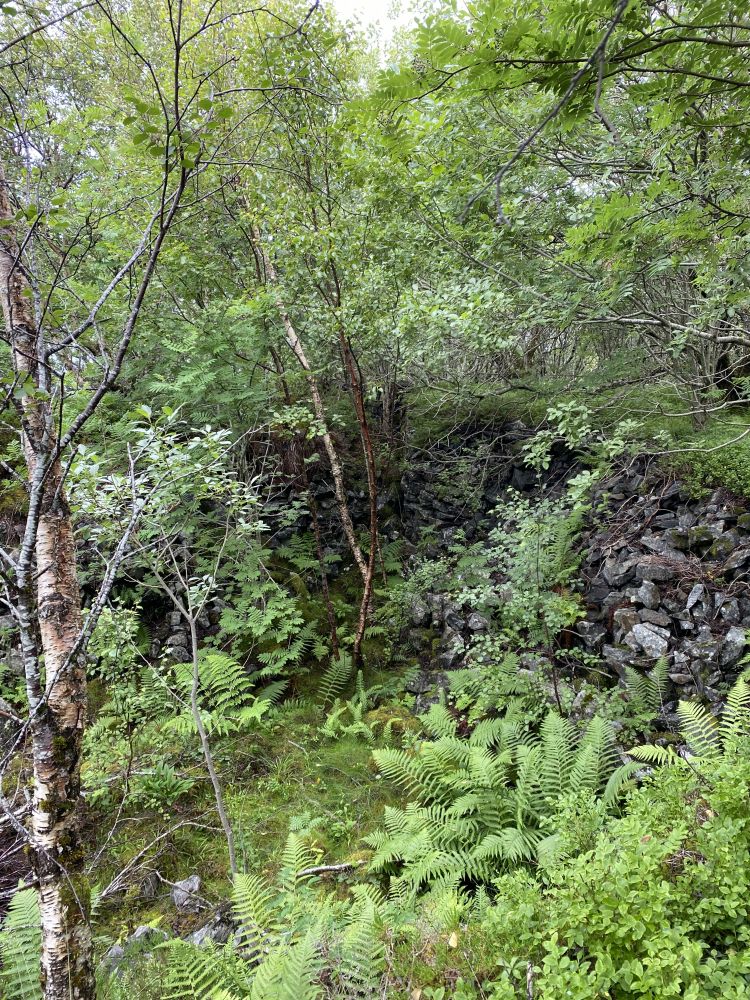 Bildet viser rester av forlegning eller bunkers frå 2. verdskrig. 
