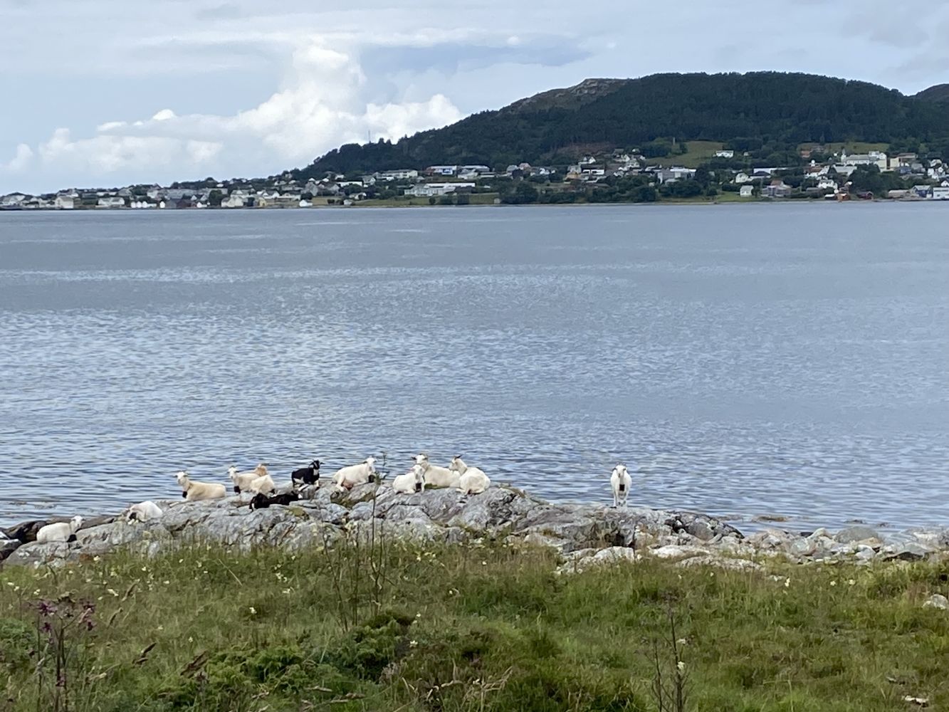 Utsikt frå Moldeneset mot Valderøy. Valderøyfjorden i mellom.
