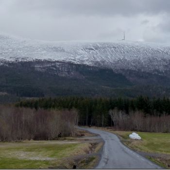 Skalten (masta)