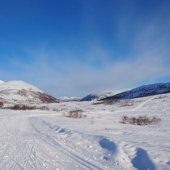 Langdalsosen fra Skaret Skisenter