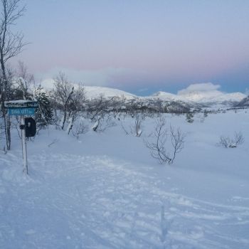 Berrmyran fra Skaret Skisenter