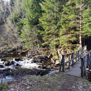 Vågen rundt