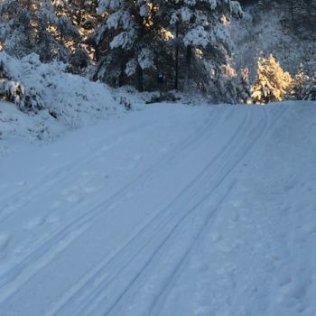 Mot Brattåsen