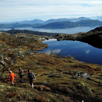 Lågfjellet, Frei