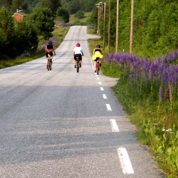 Jendemsfjellet rundt