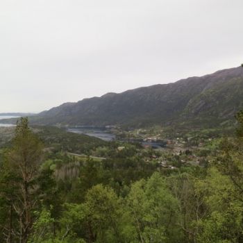 Sildvolnesåsen