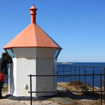 Skjærtangen