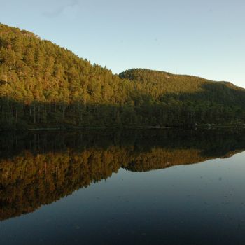 Drabovatnet