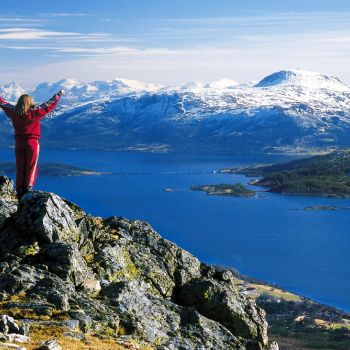 Freikollen fra Prestmyra.