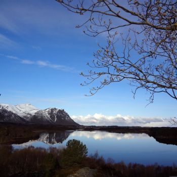 Gaustadvågen naturreservat