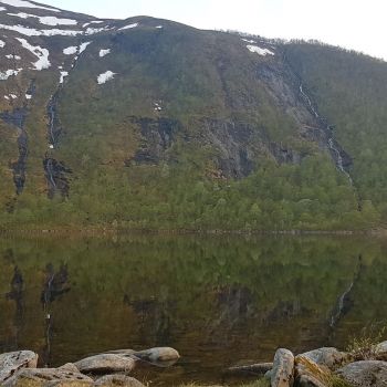 Kjølavatnet