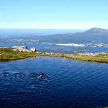 Røsholfjellet (Holshaugen)