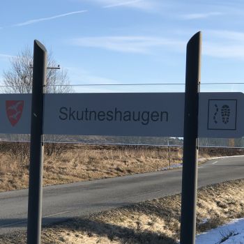 Skutneshaugen