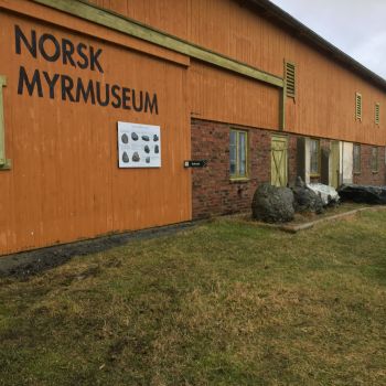 Gåsvatnet rundt
