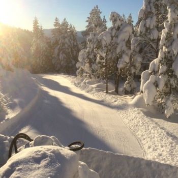 Utsikten Freiøya