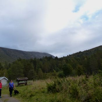 Lågheia - Høgheia - Talstadhesten