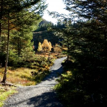 Kyststien i Bud - rundtur ved foten av Gulberget.