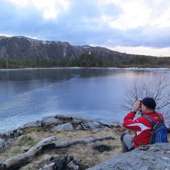 Midtfjellet 
