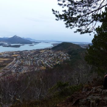 Elnessetra i Elnesvågen