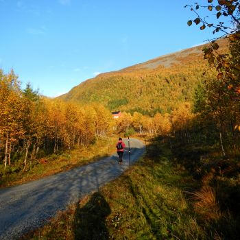 Urfjellet - Julskardtind - Galten